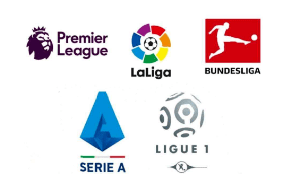 职业球员 职业球员